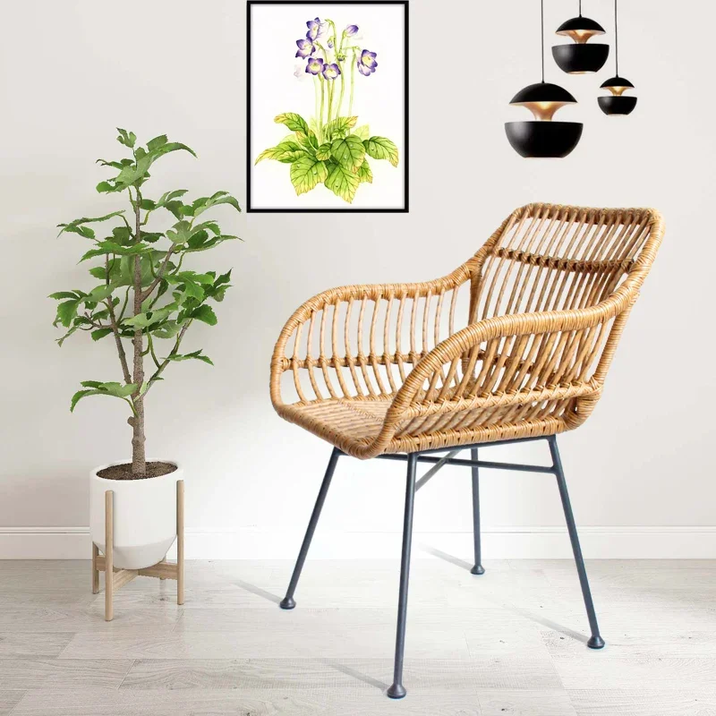 Nordic Dining Chairs for Kitch – Outdoor Furniture Kitchener Bewertung und Preis